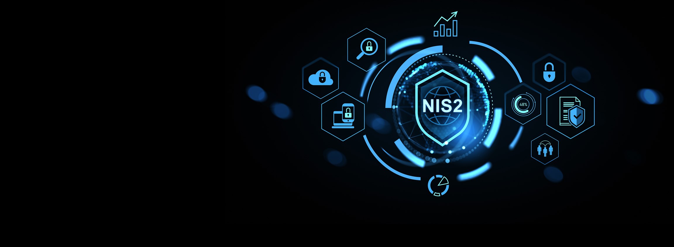 Home Business Banner ZINFV-1 in NIS2