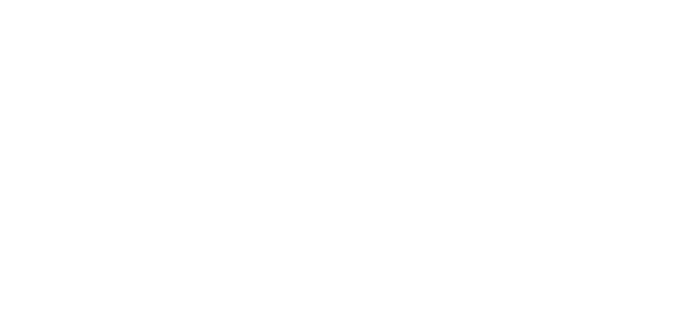 Net zaščita shield