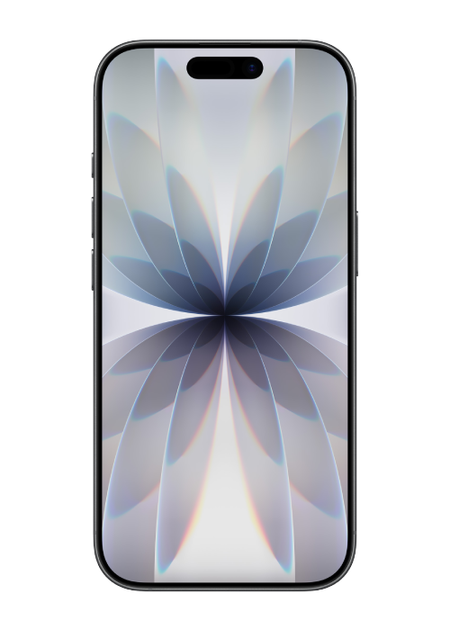 iPhone 17 256 GB Črna 1